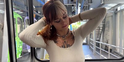 Risky Public Cable Car Blowjob - Naughty in the Sky / SallyDinosaur